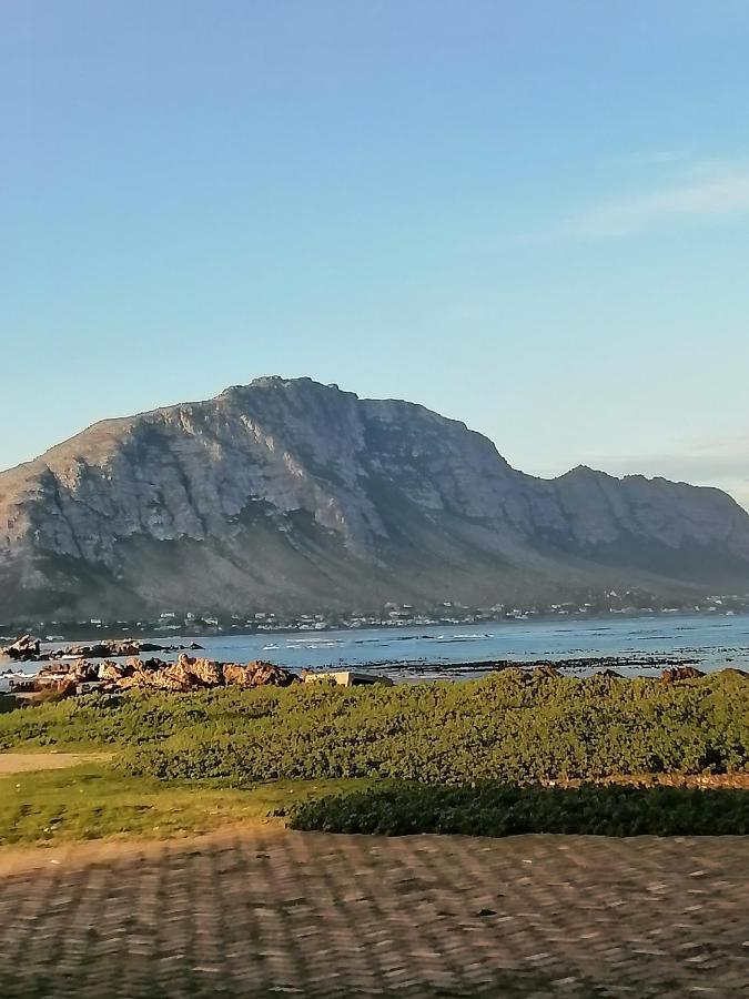 Just Chill Betty'S Bay Bettyʼs Bay Exterior foto
